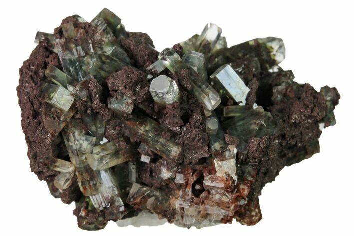 Apophyllite Crystals w/ Celadonite Inclusions -India #168964